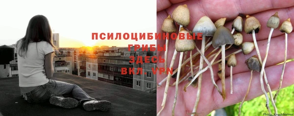наркотики Алексин