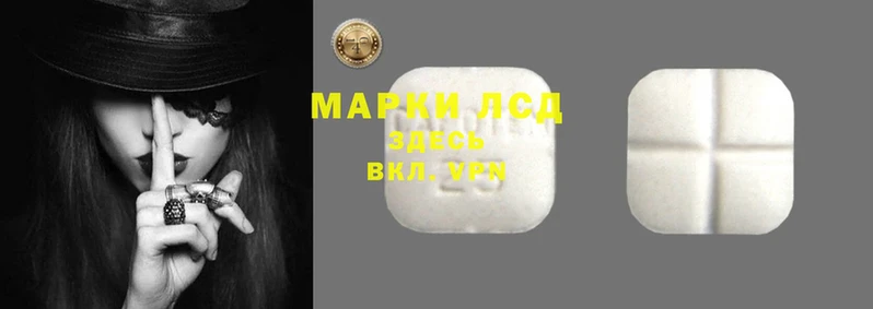 гидра Алексеевка