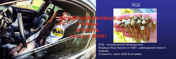 меф Арсеньев