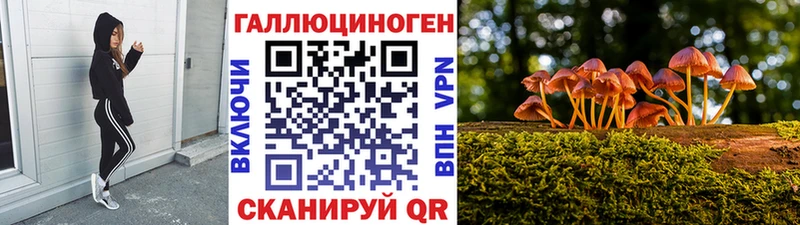 Галлюциногенные грибы MAGIC MUSHROOMS  Ревда 